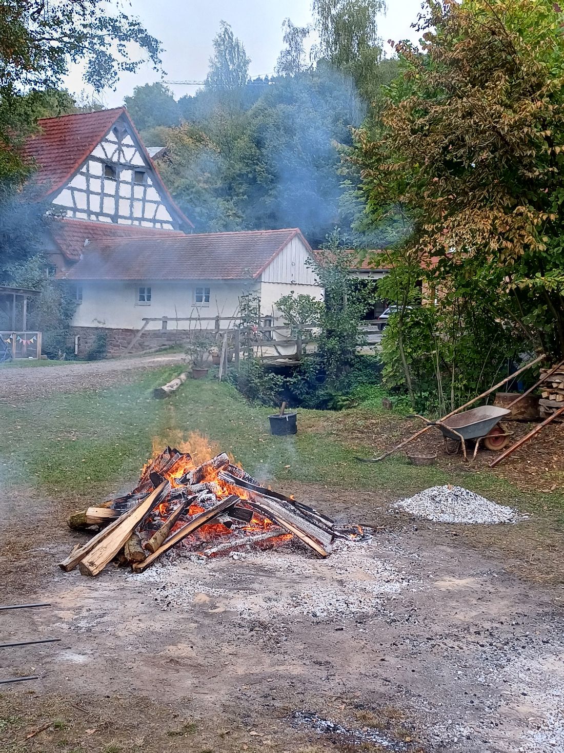 mvkasselbratfest az2