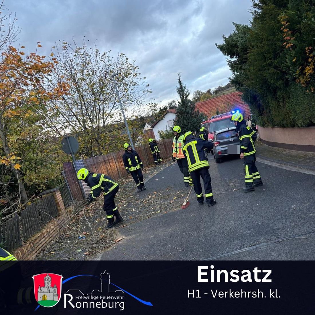 ronnebaumstumrffw az1