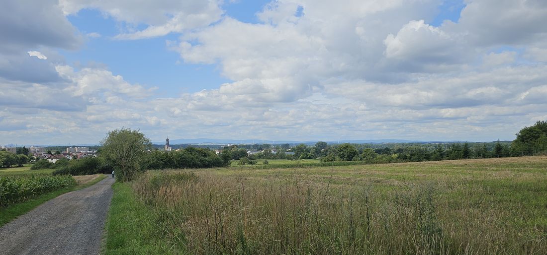 taunusanfaugupich az1