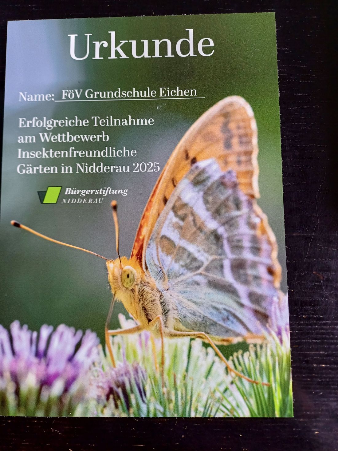 urkundinsektgaert az
