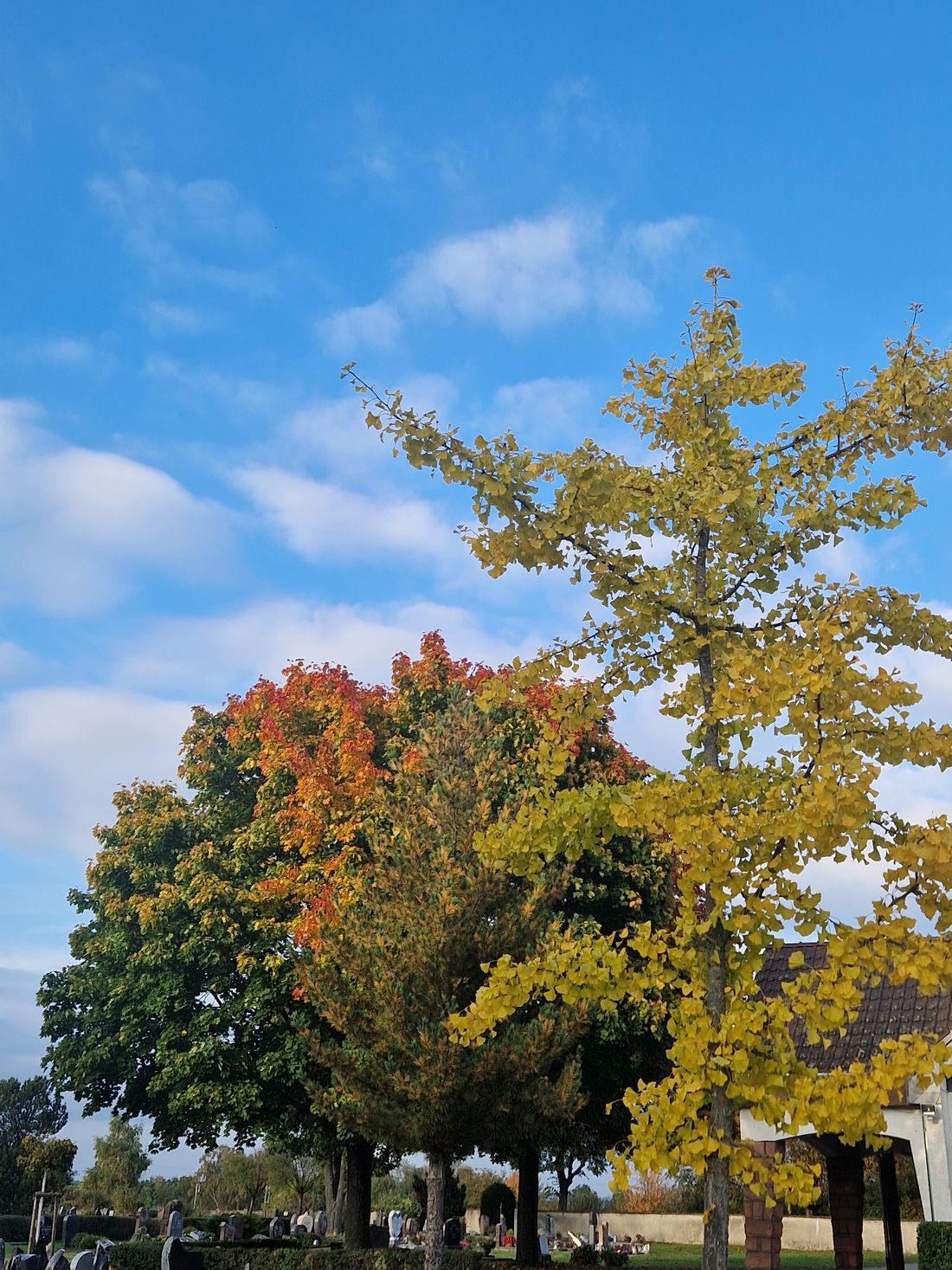 zweiherbstfrienhl az