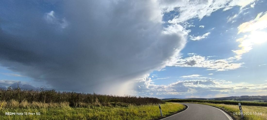 dasiwetterwfron az
