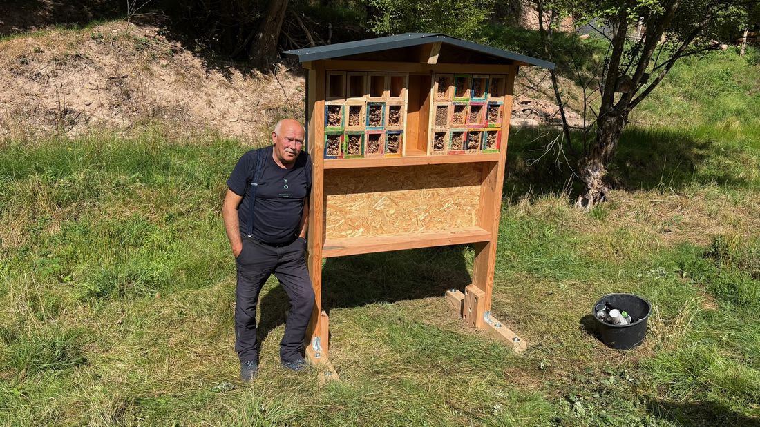 insektenhotelmerken az3