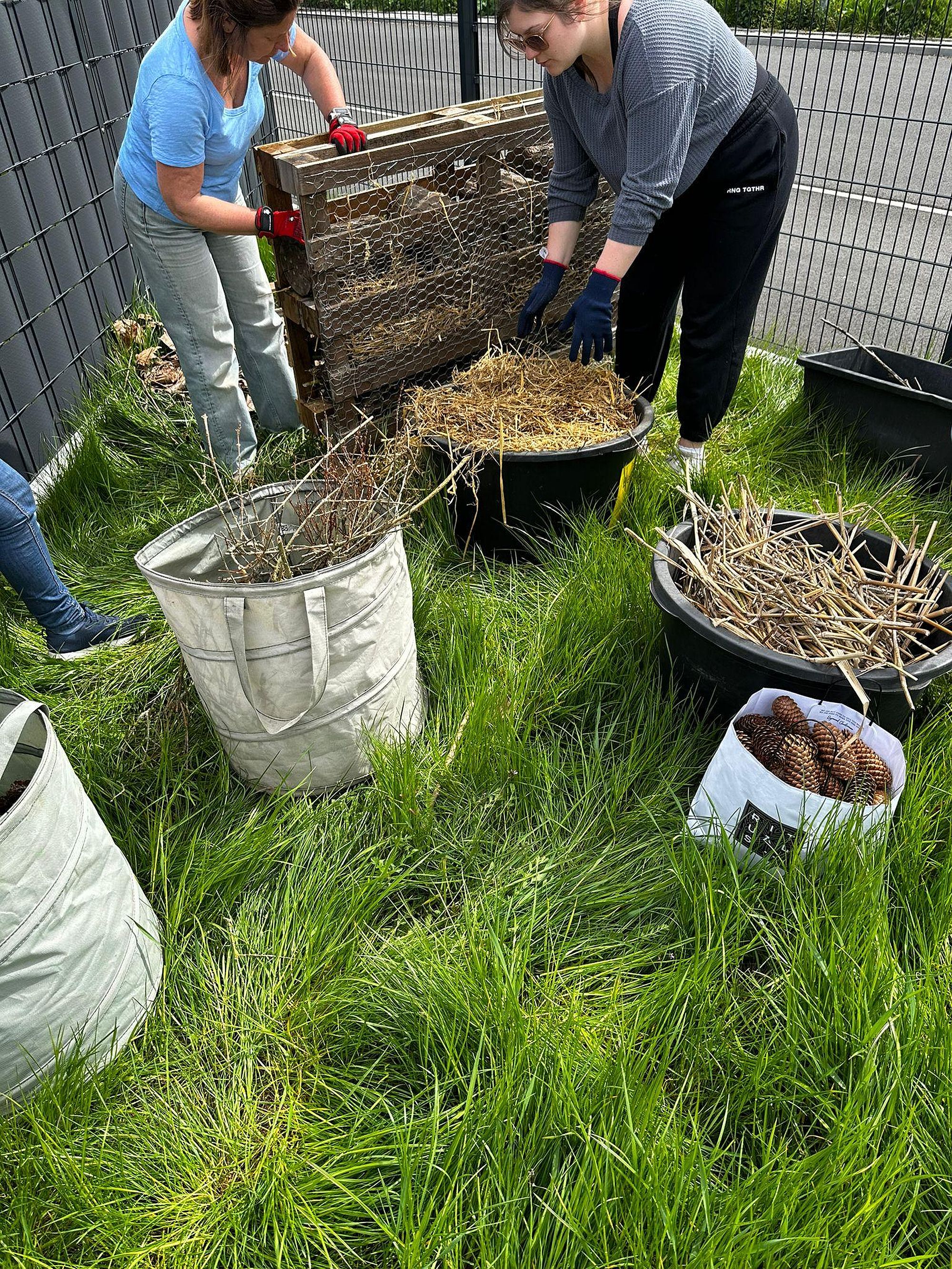 friedngrtprolerlen az1