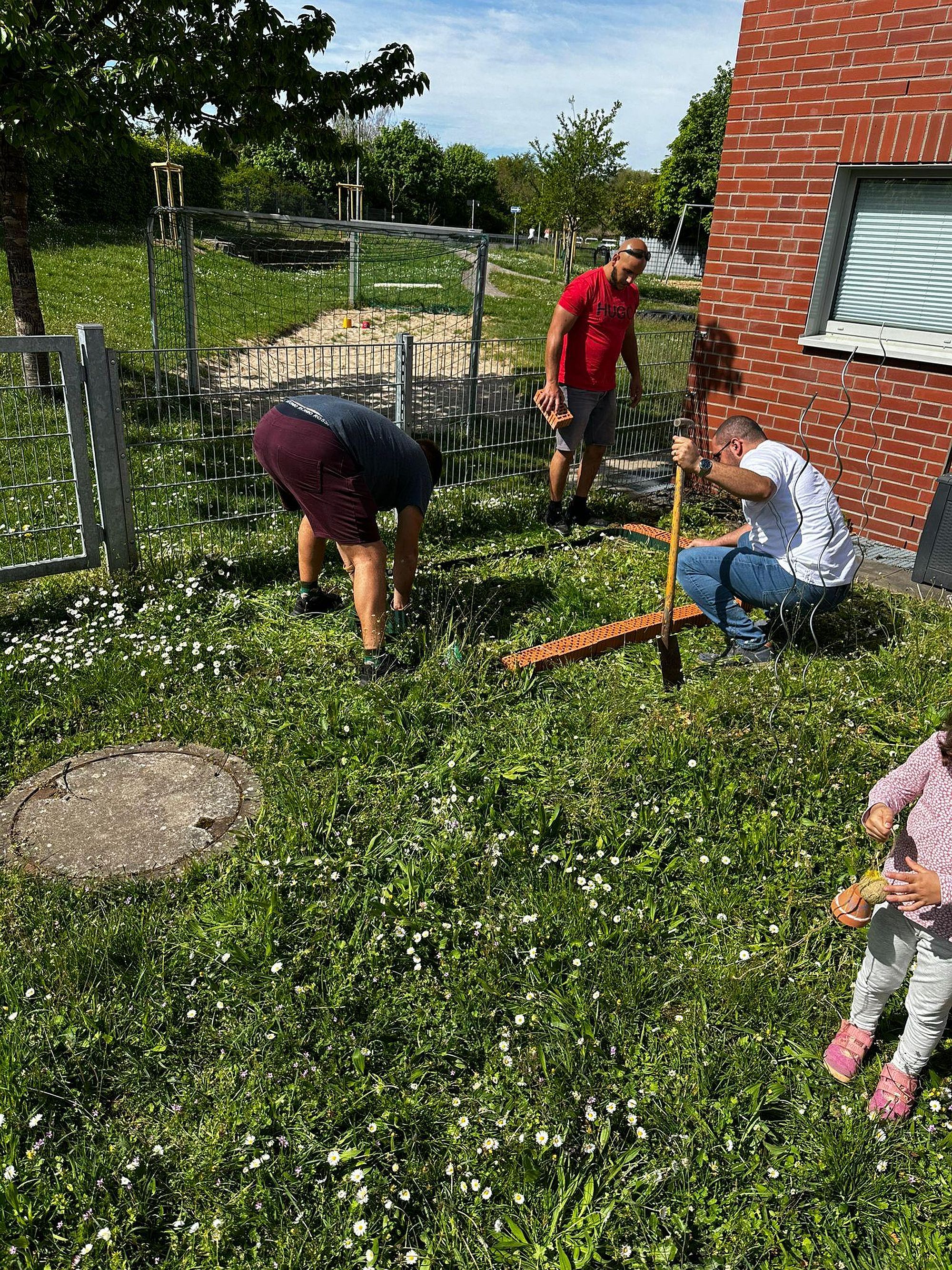 friedngrtprolerlen az2