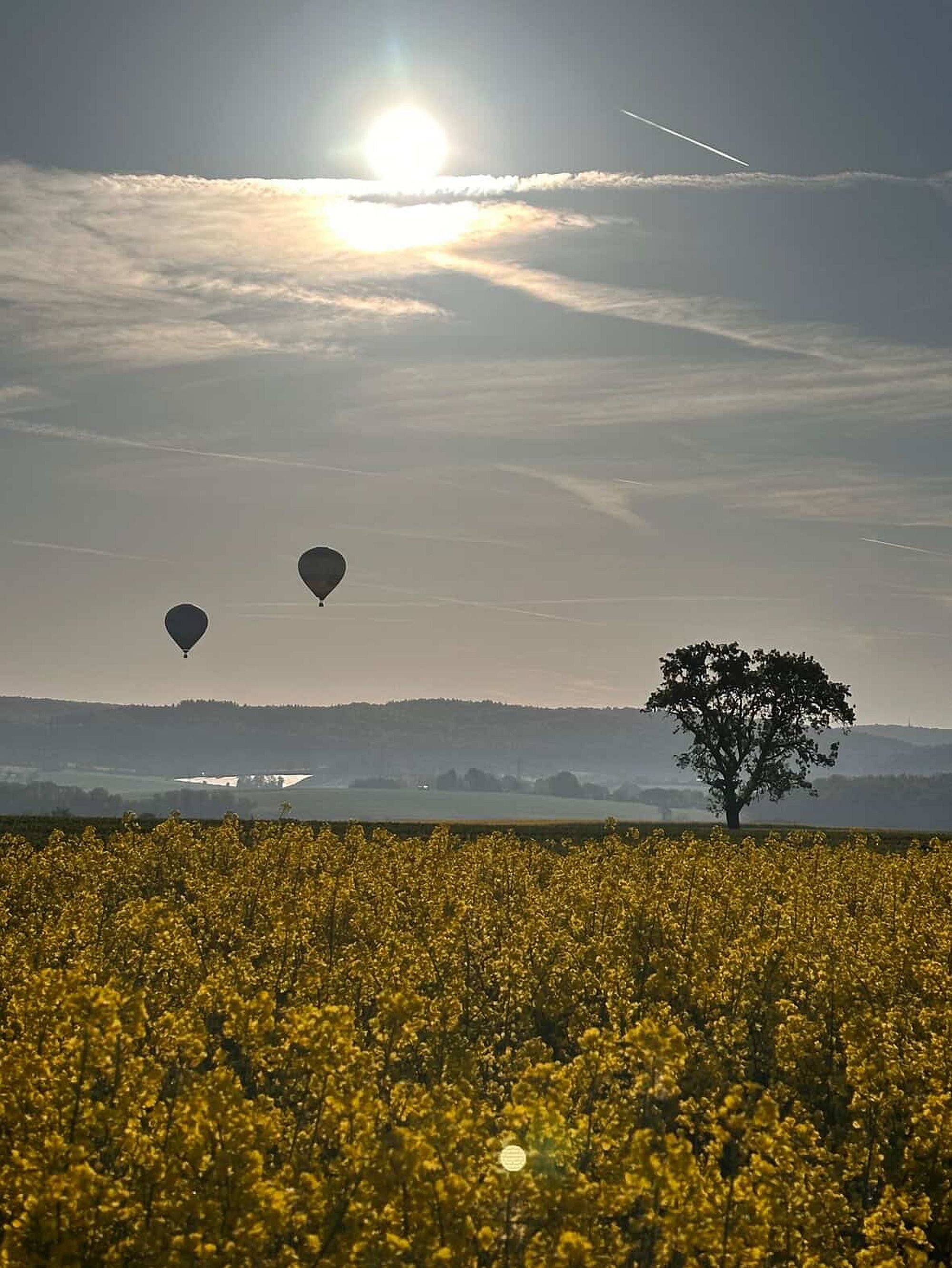 heckensheissluft az2