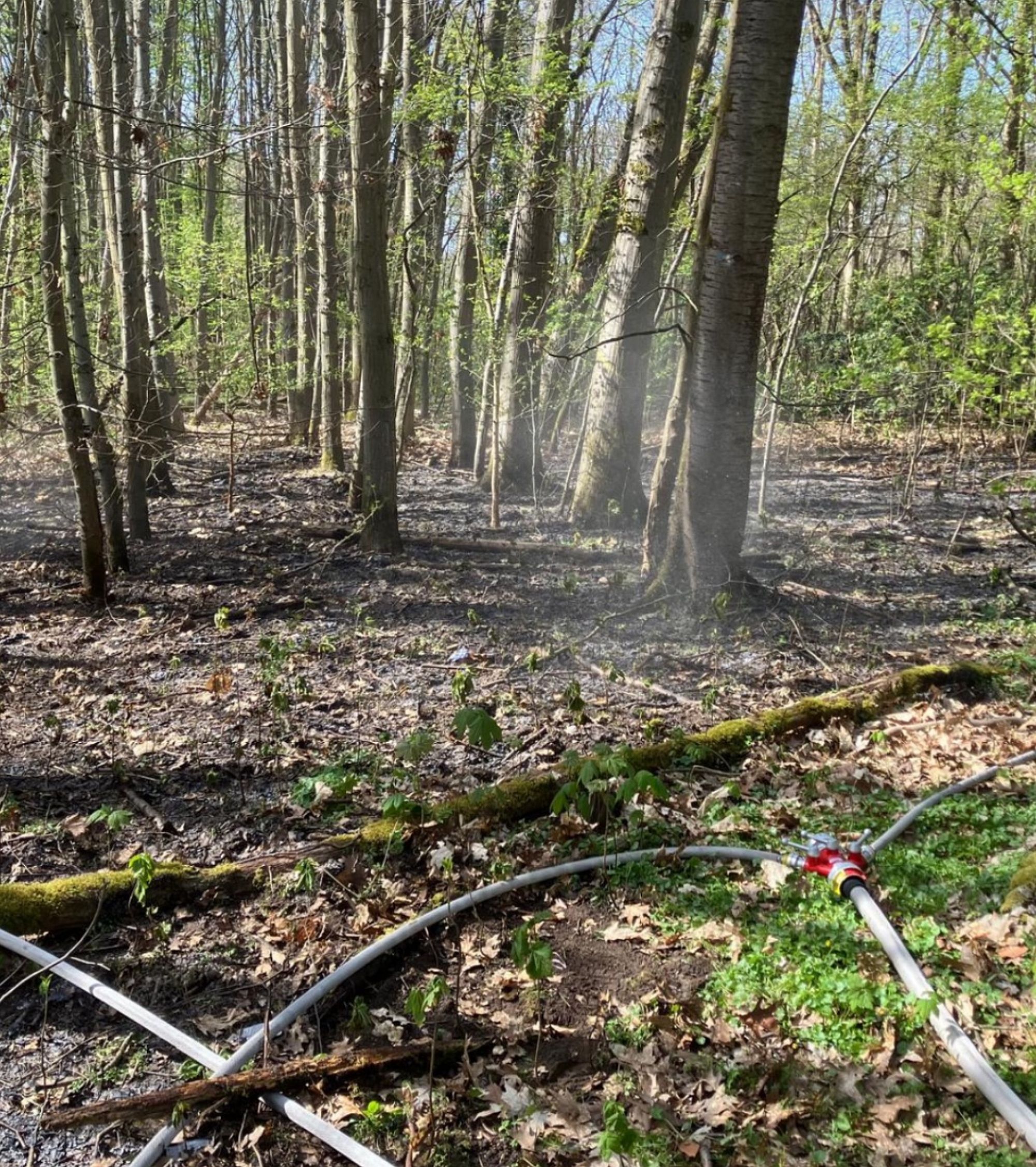 kesslwadbodenbrenn az