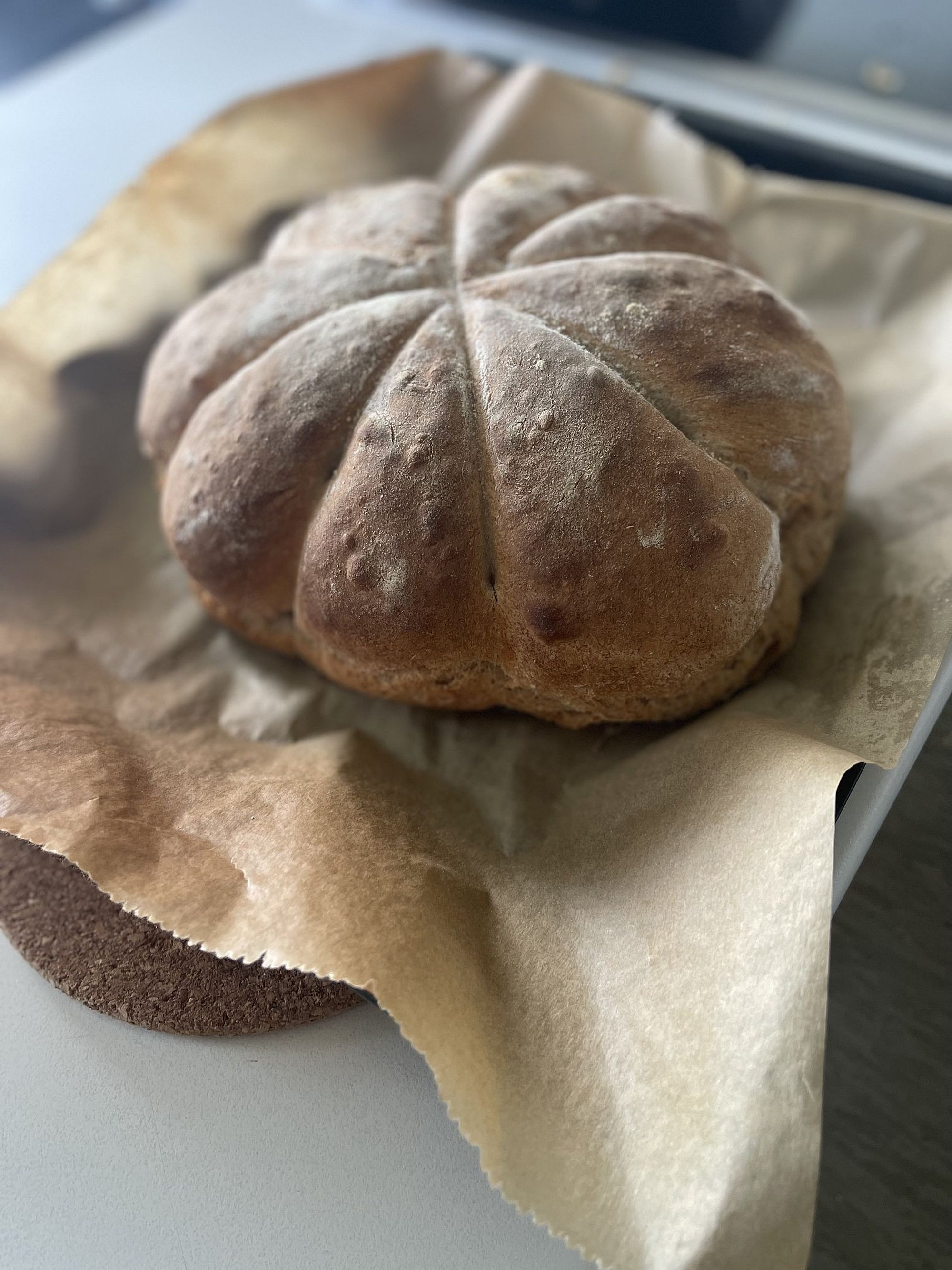 lateinkursehenry az2