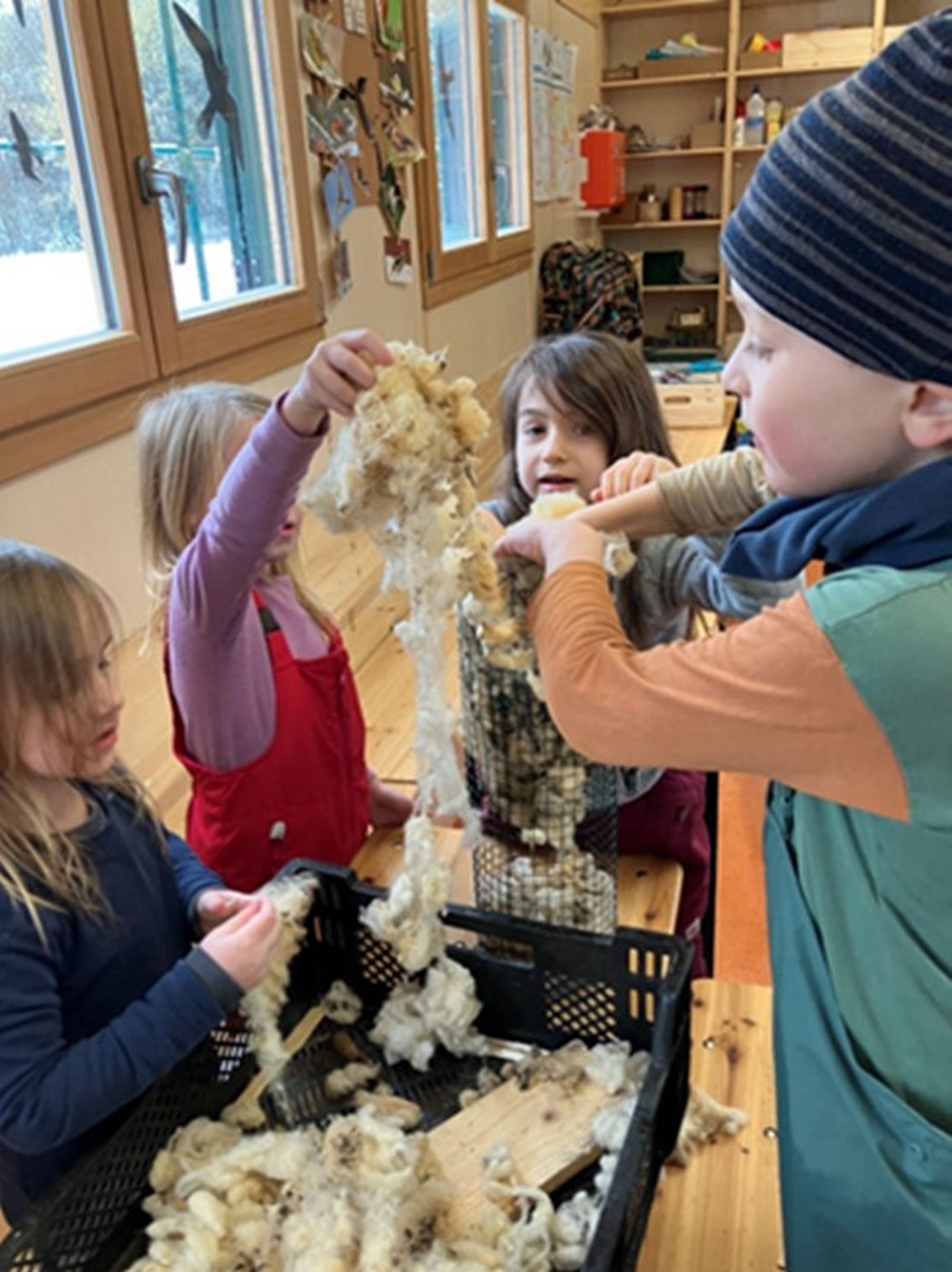 nestbaufeldhause az1