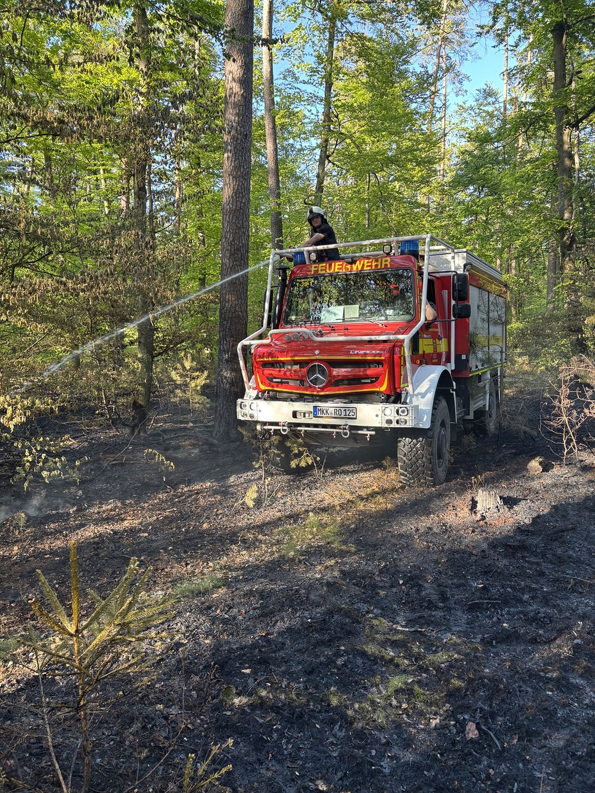waldbrffwrodenlan az1