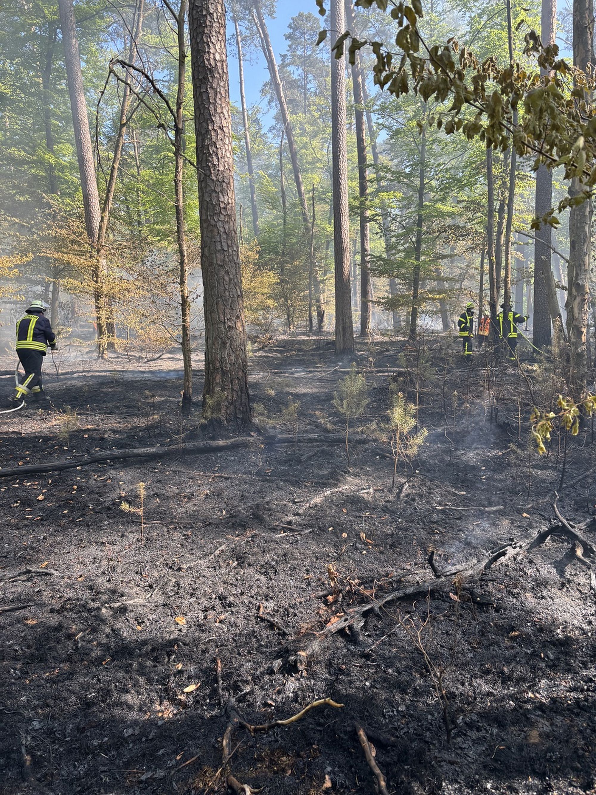 waldbrffwrodenlan az3