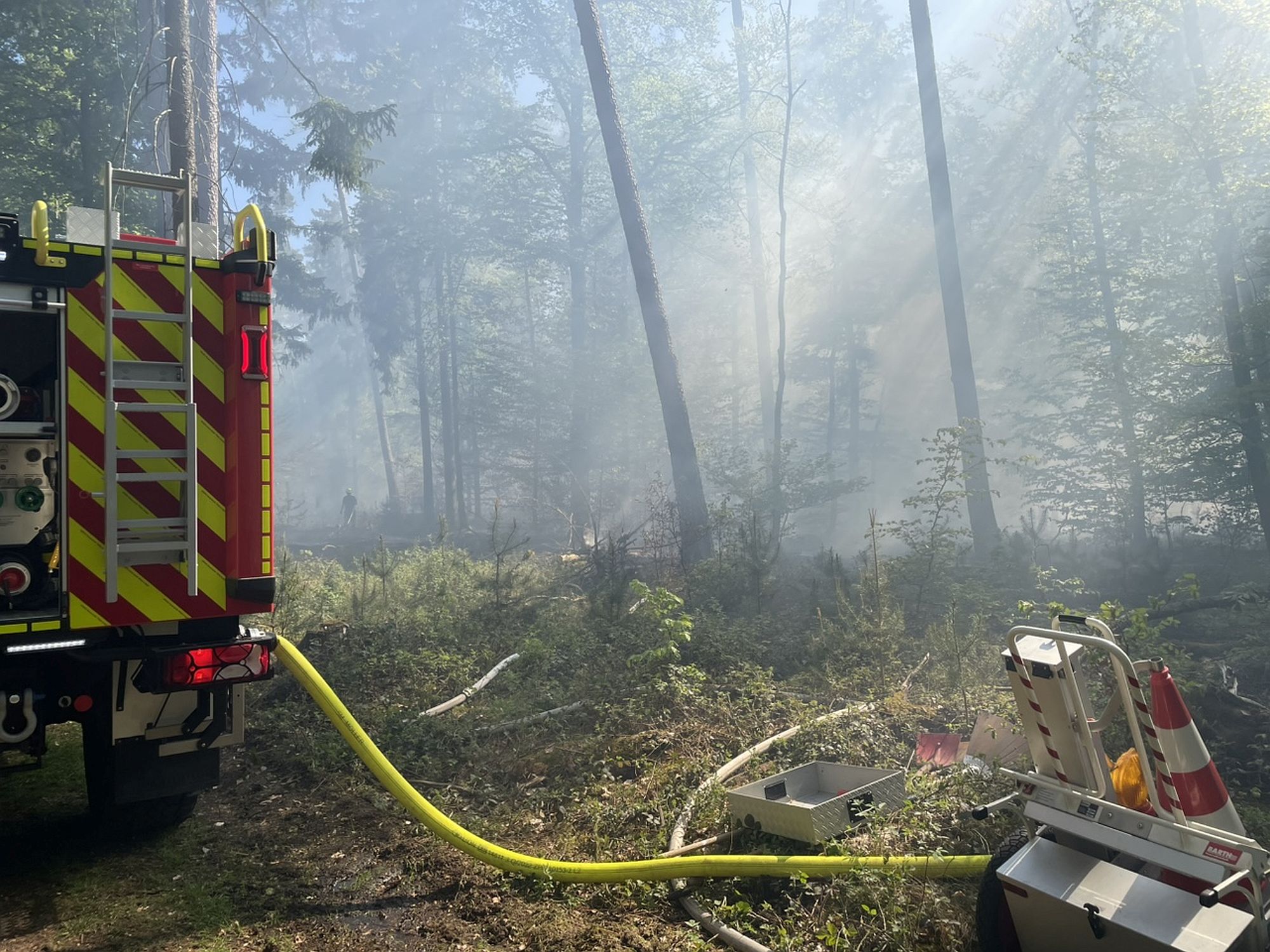 waldbrffwrodenlan az4