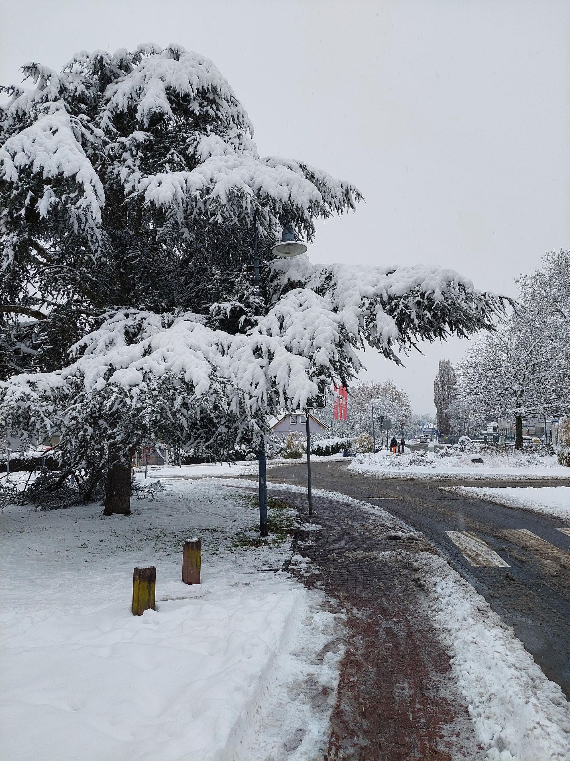 winterdienserlenseea az1