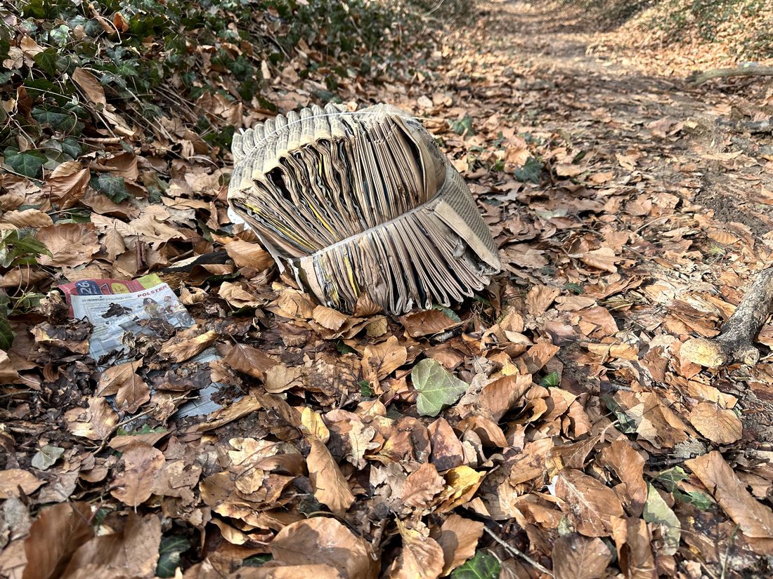 zeitungengaensewald az2