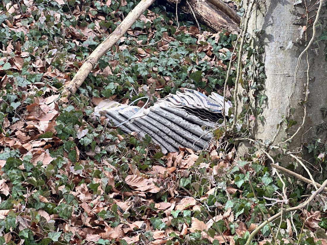 zeitungengaensewald az3