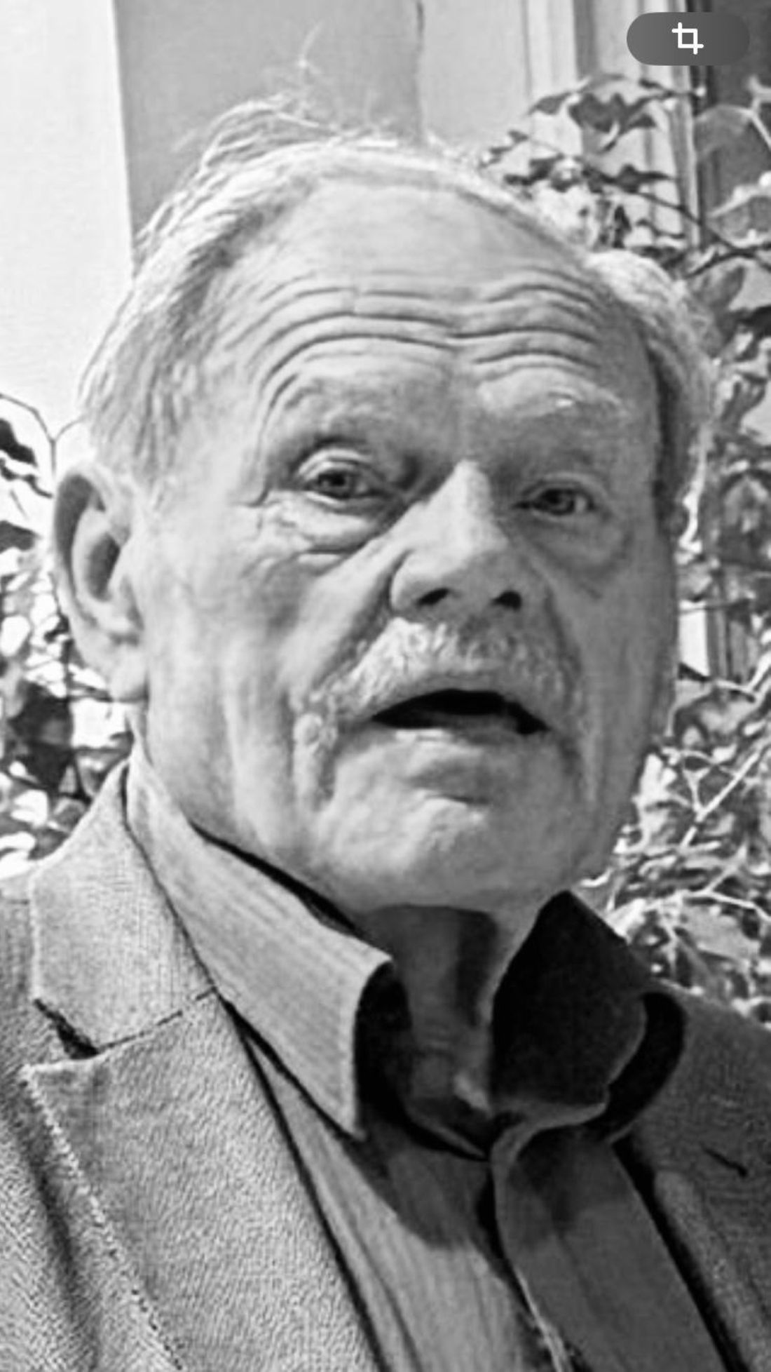 heinrichvetter az