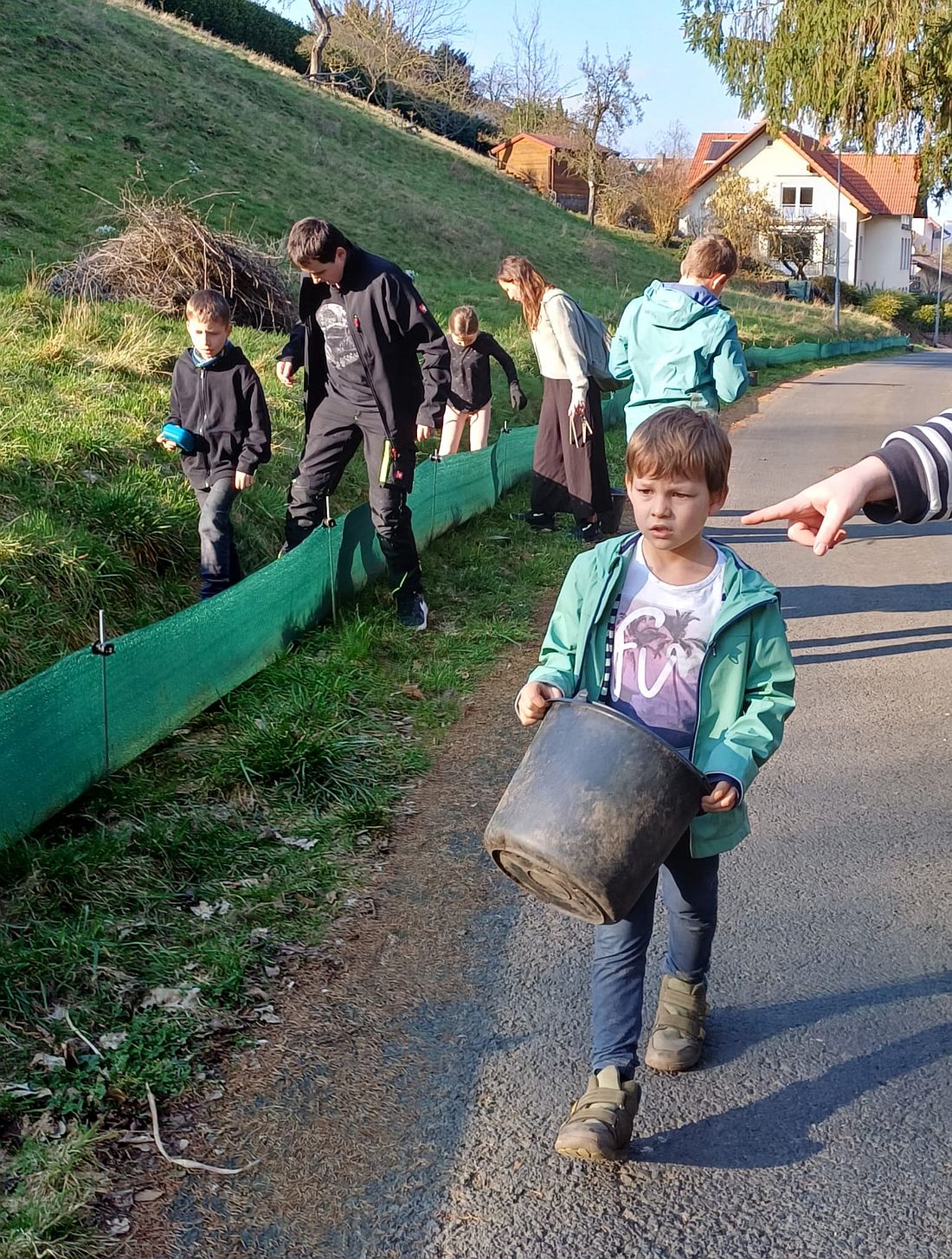 grossnehamphibin az1