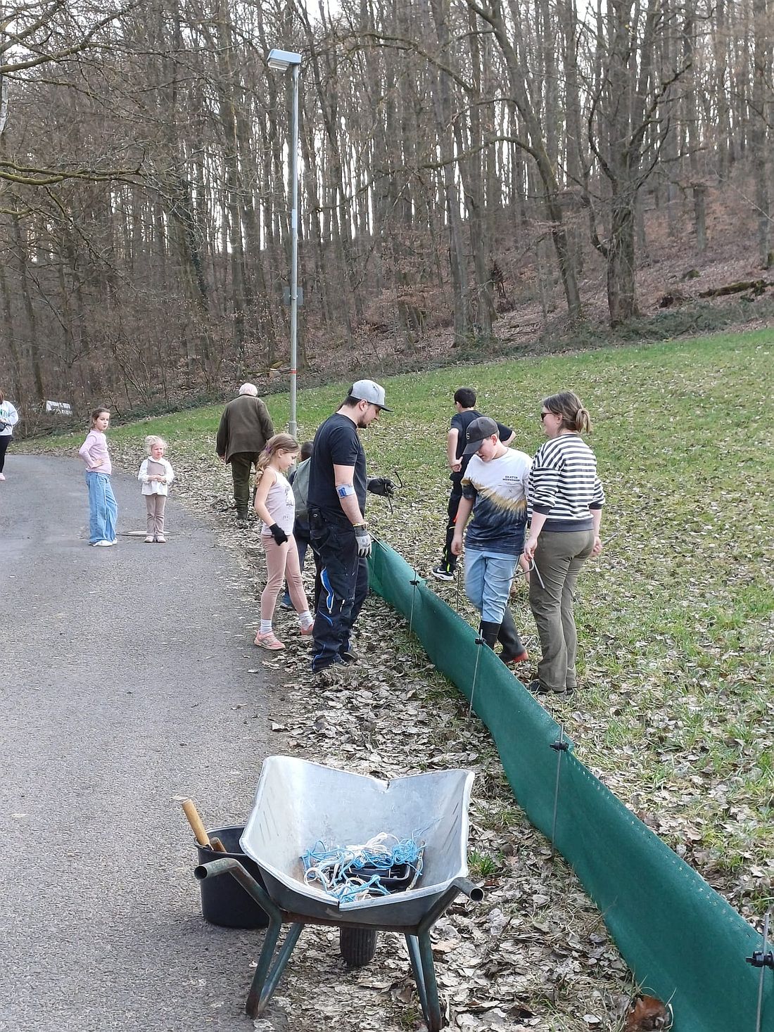 grossnehamphibin az2