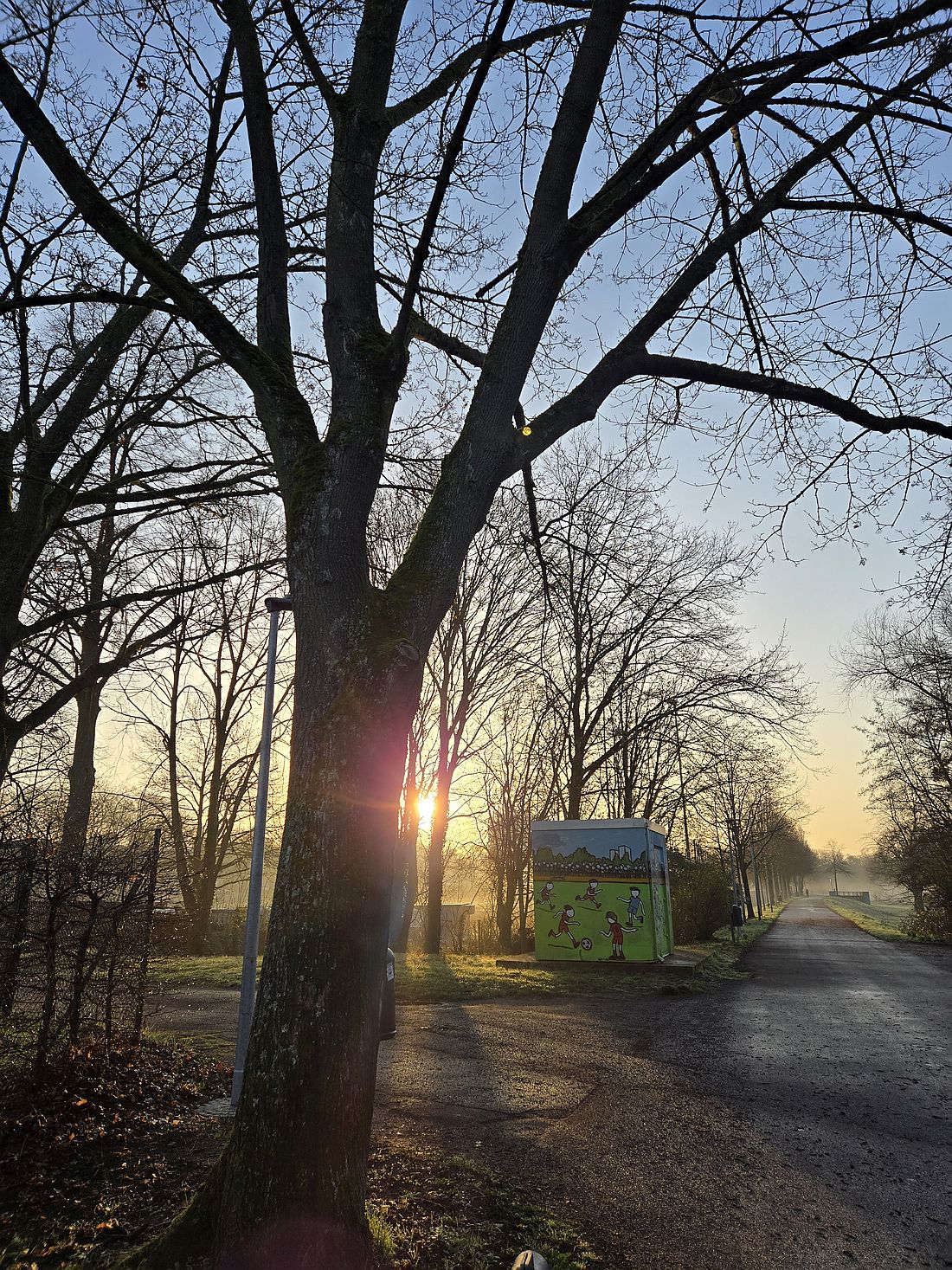 hanauammorgenhaen az1