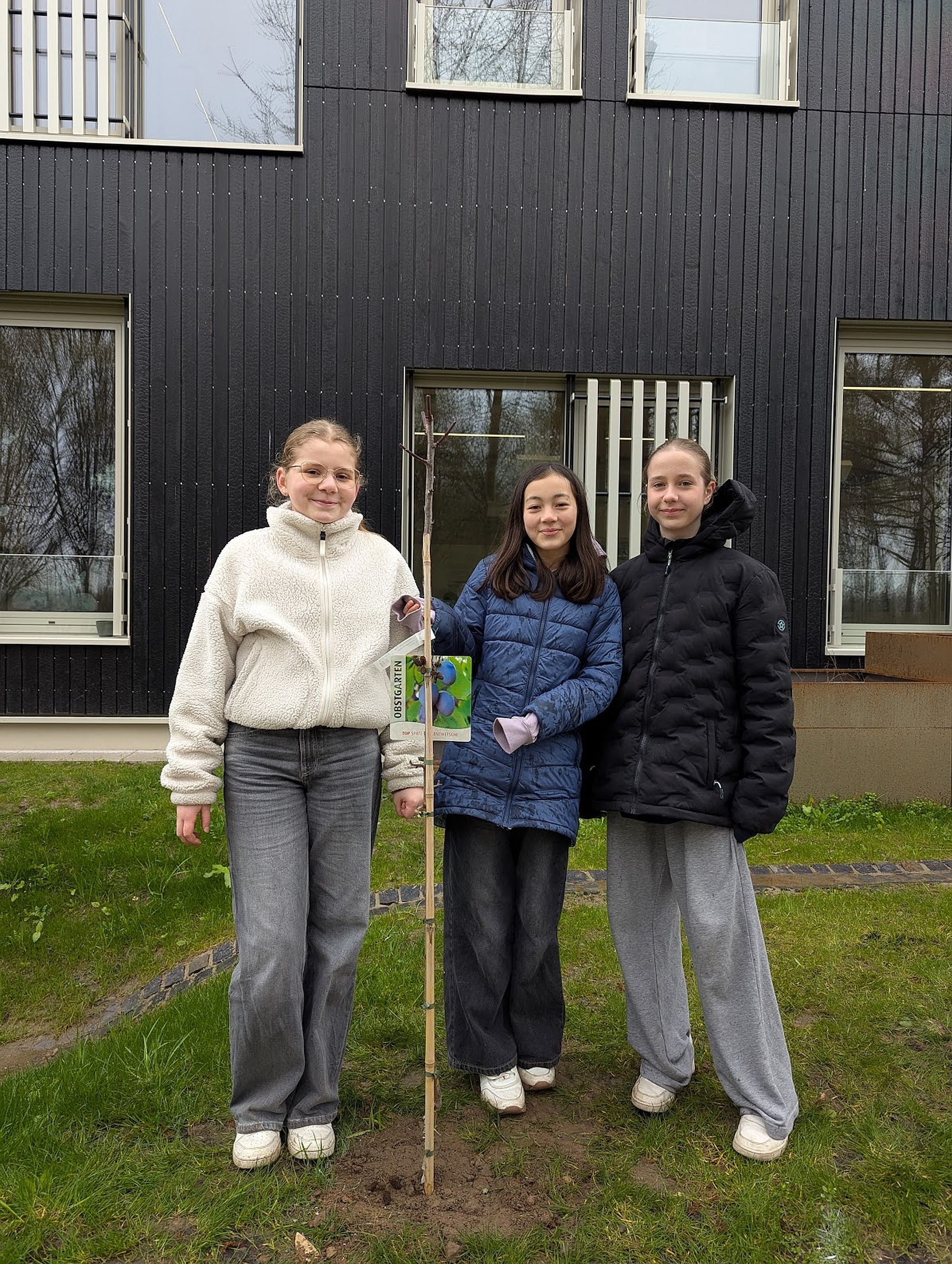 obstbaumeinstein az1