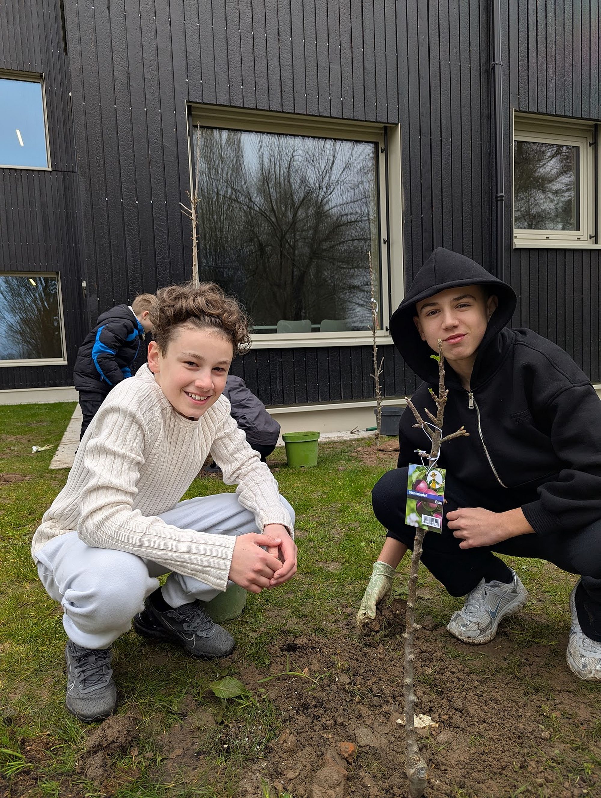 obstbaumeinstein az2