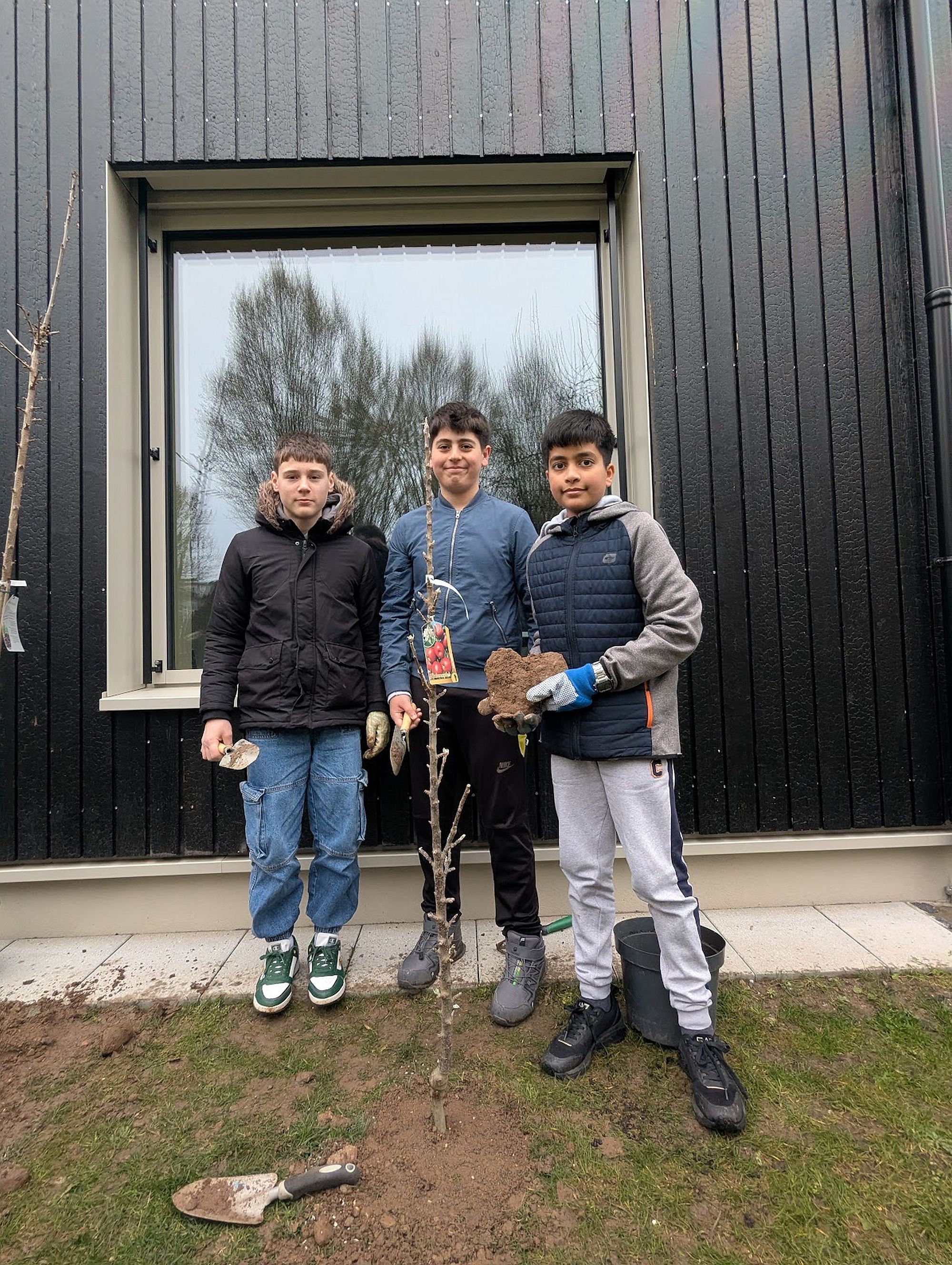 obstbaumeinstein az3