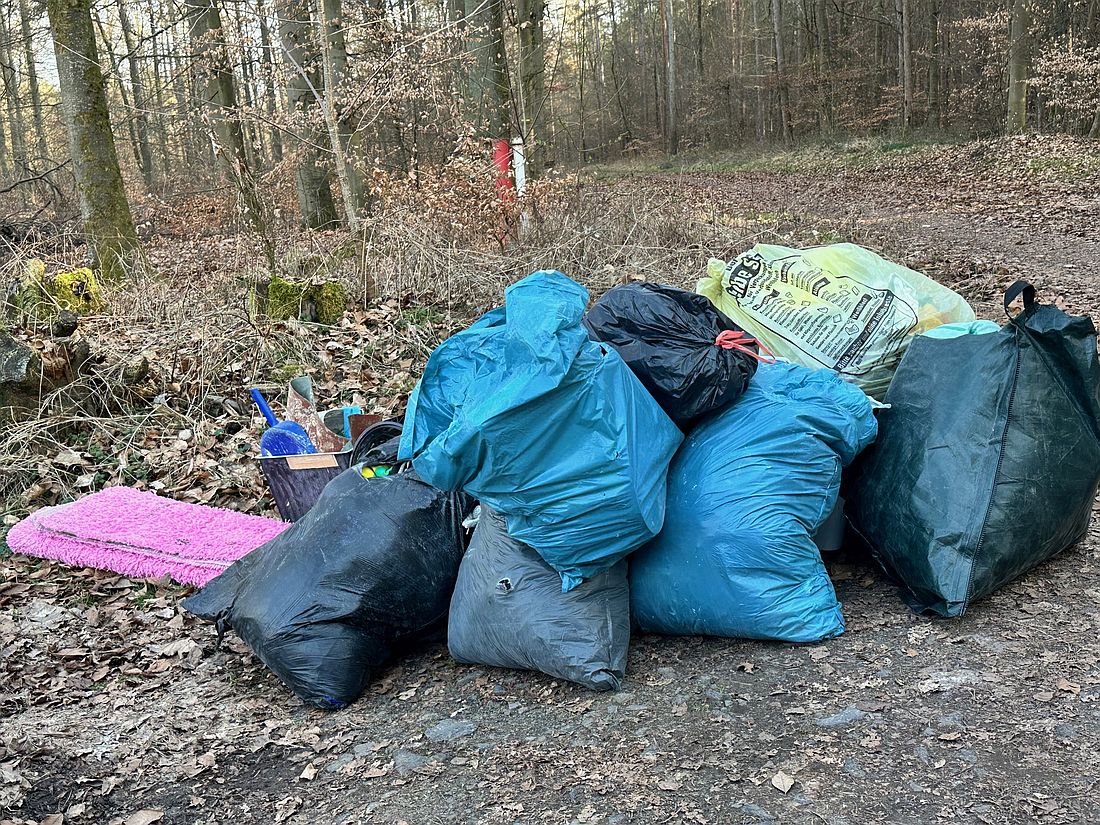 saeckweisemuellhass az1