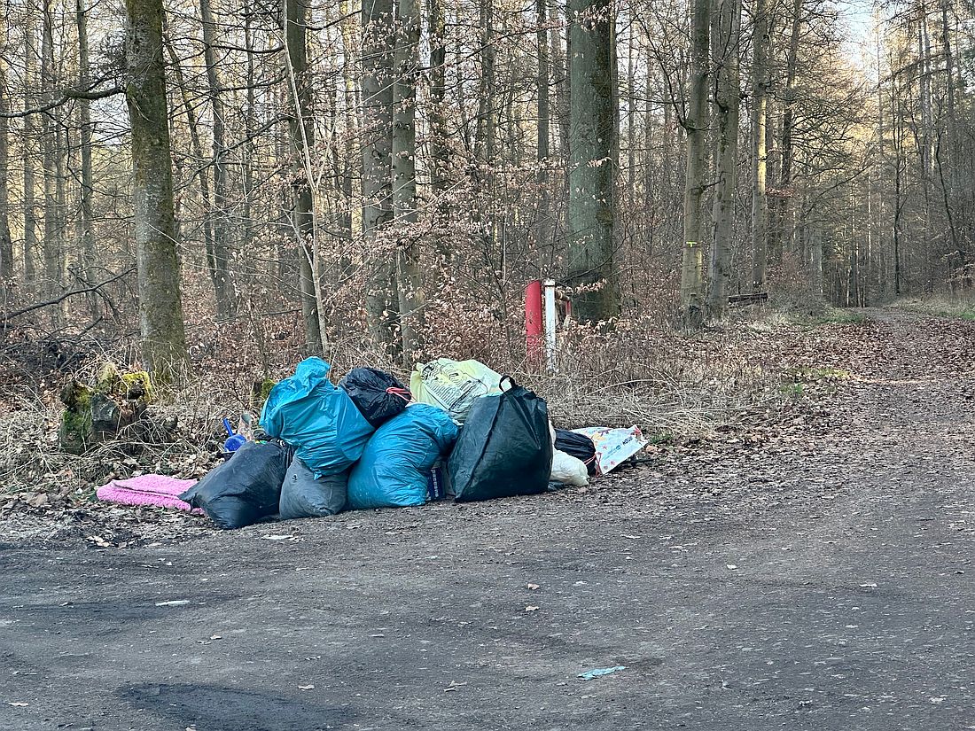 saeckweisemuellhass az2