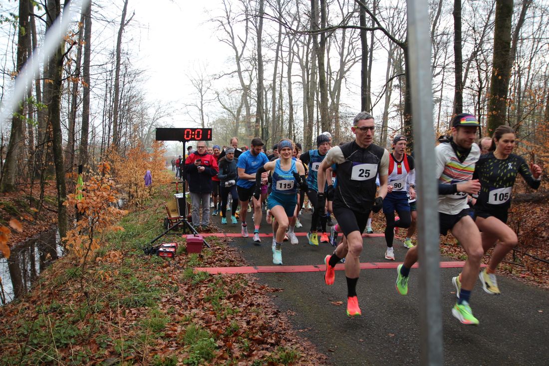 zschnellerzehner az10