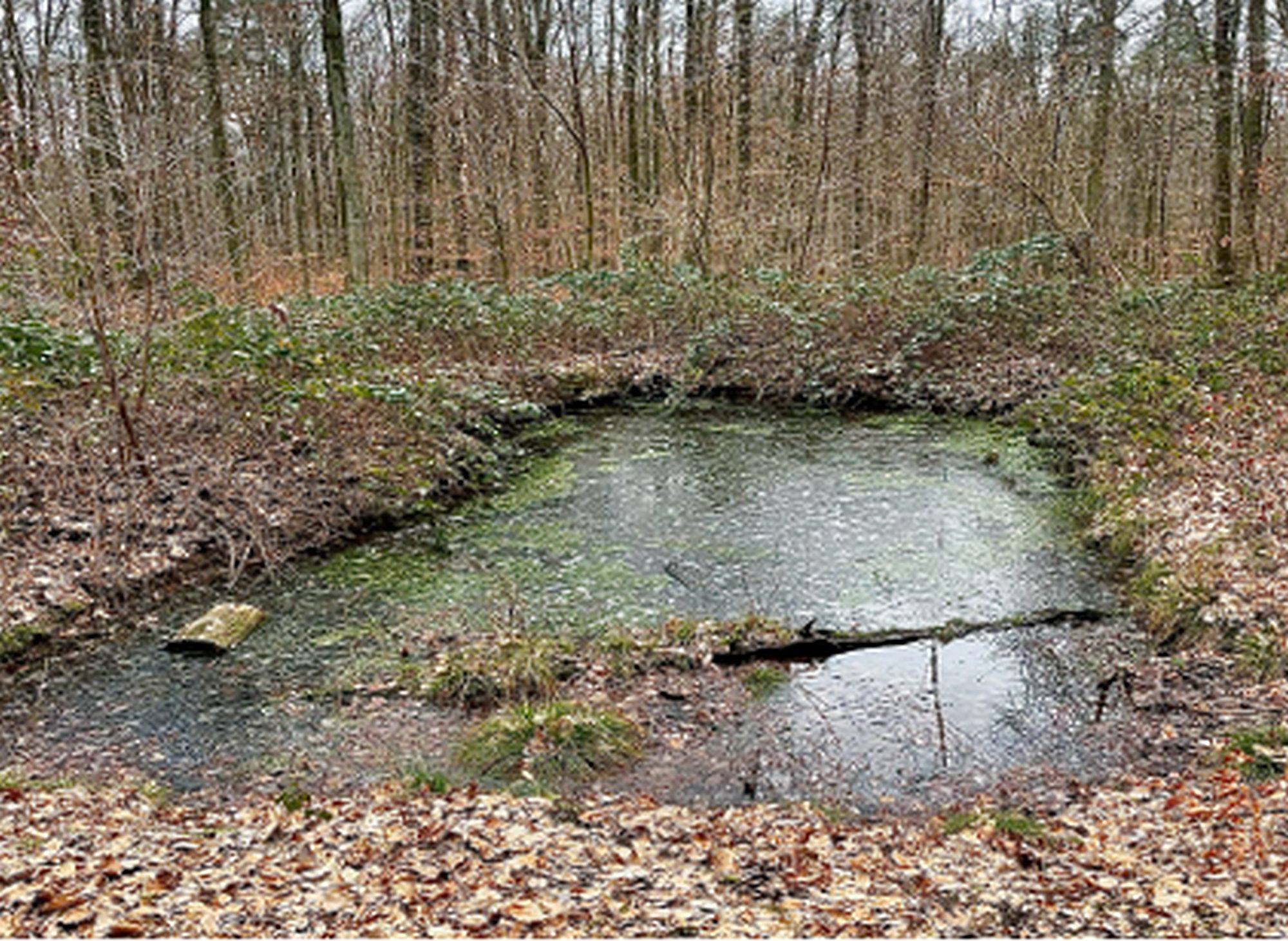 tuempelwaldgebiet az