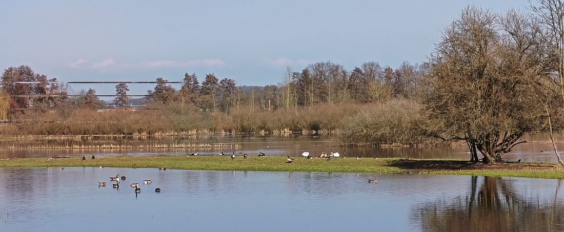 weidesiwesnerlen az1