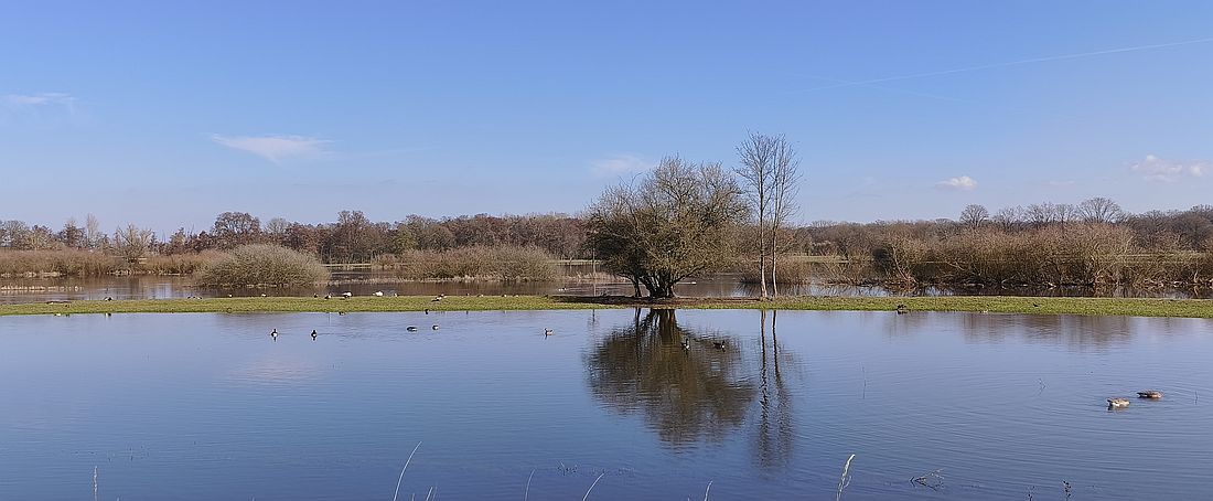 weidesiwesnerlen az3