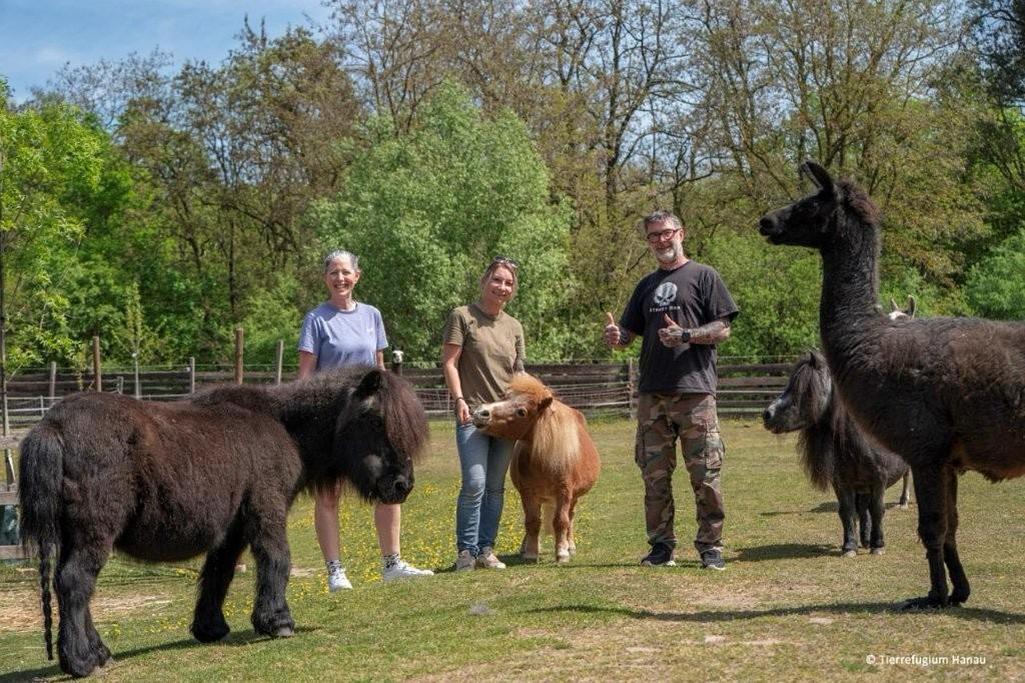 gassigehenkann az1