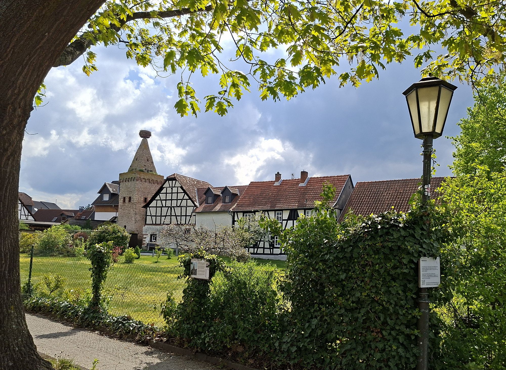 hofmannrodenba az1