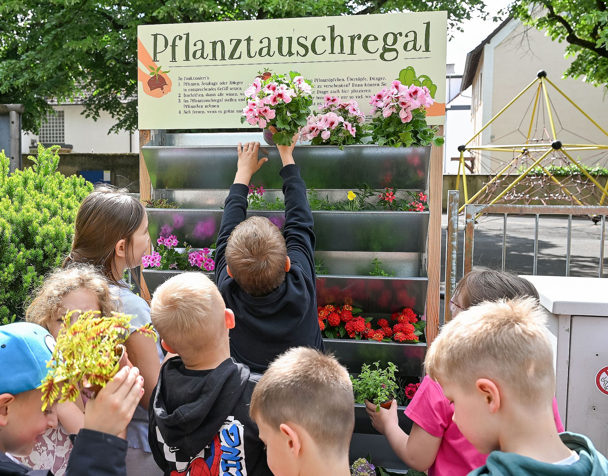plfanztauhsregstein az1