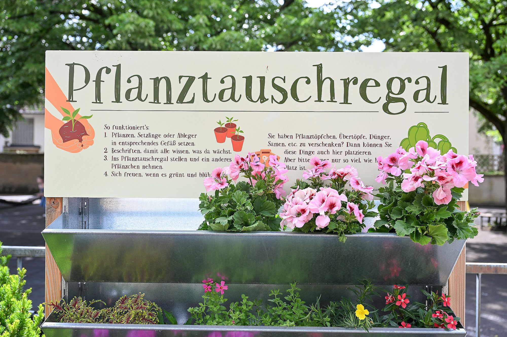 plfanztauhsregstein az3