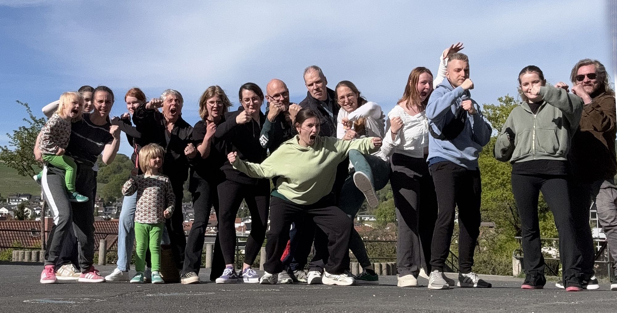 workshoppvo az