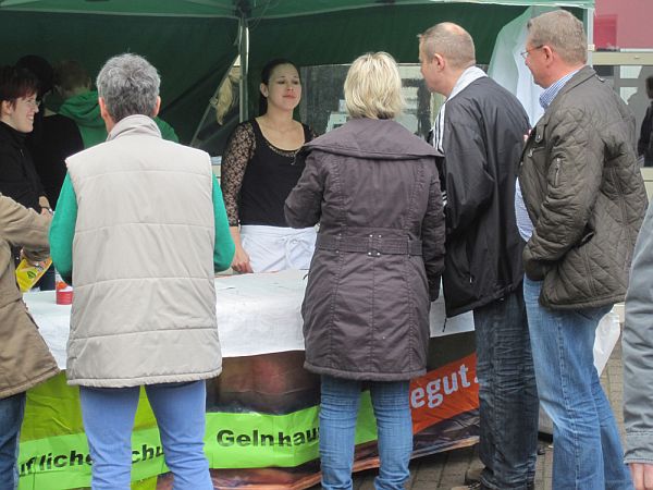 typisierung gelnhausen1