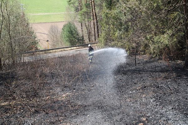 waldbrand1