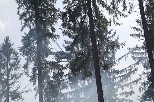 waldbrand10