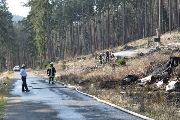 waldbrand11