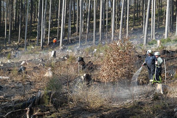 waldbrand12
