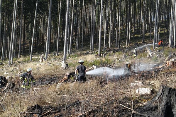 waldbrand13