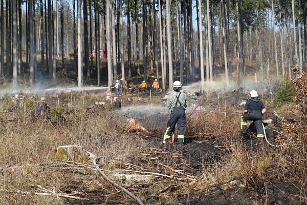 waldbrand14