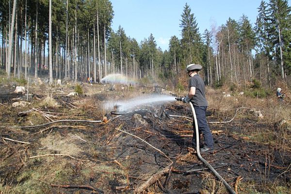 waldbrand15
