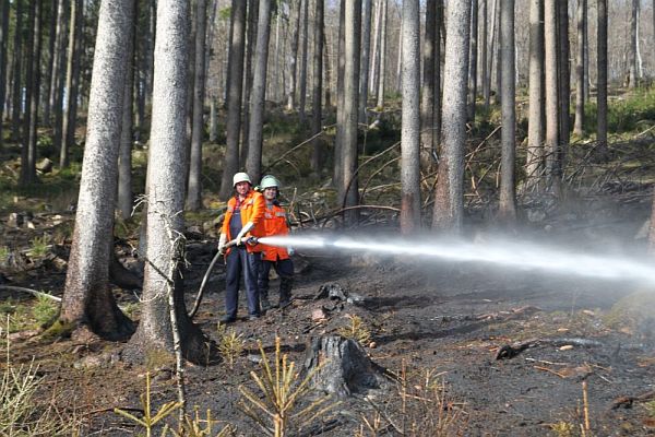 waldbrand16