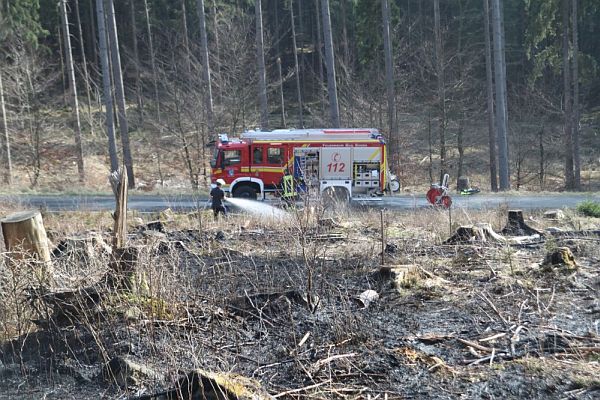 waldbrand17