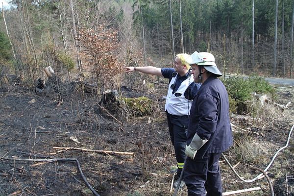 waldbrand18