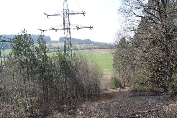 waldbrand2