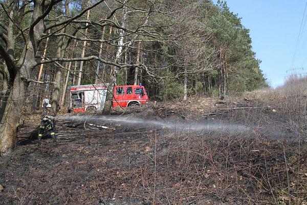 waldbrand4